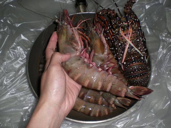 when the prawn got bigger than the lobster.